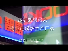 Introducción de la compañía